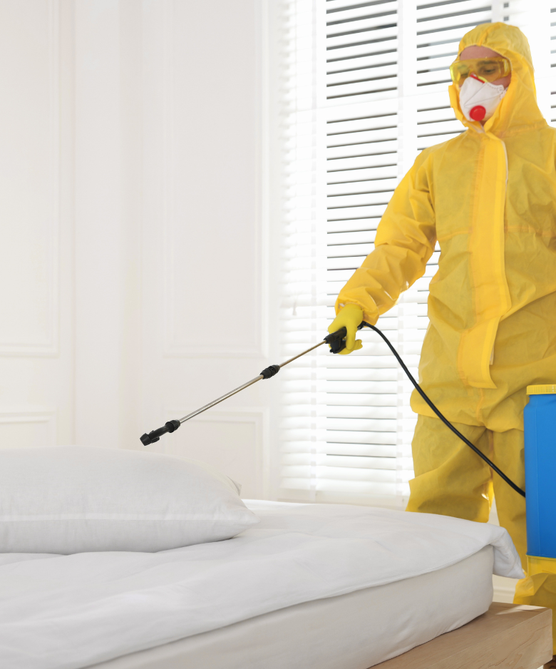 Professional Pest Control Team in Glenelg East